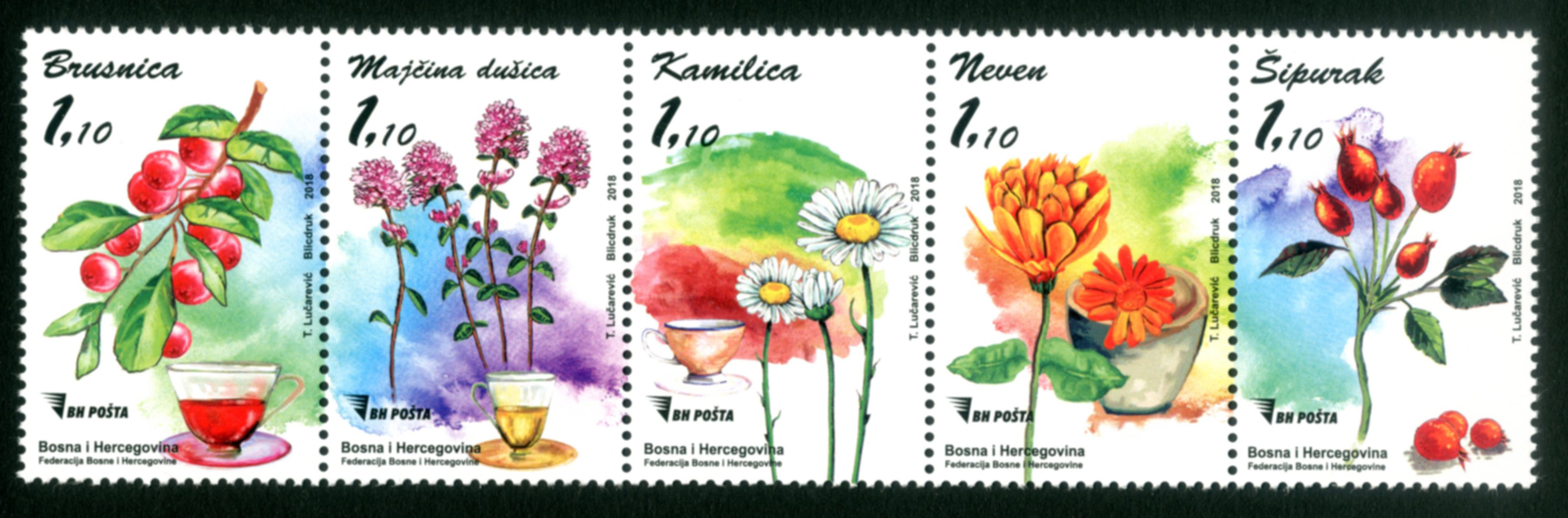 flora-terapeutic-herbs